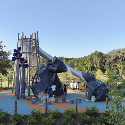 Picture of Commercial Climbing Holds & Playground Equipment